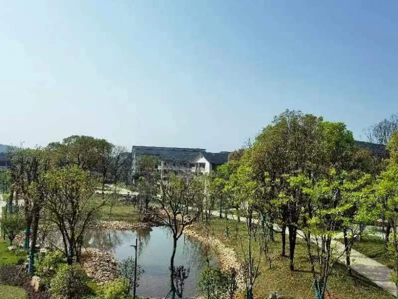 校园风光
