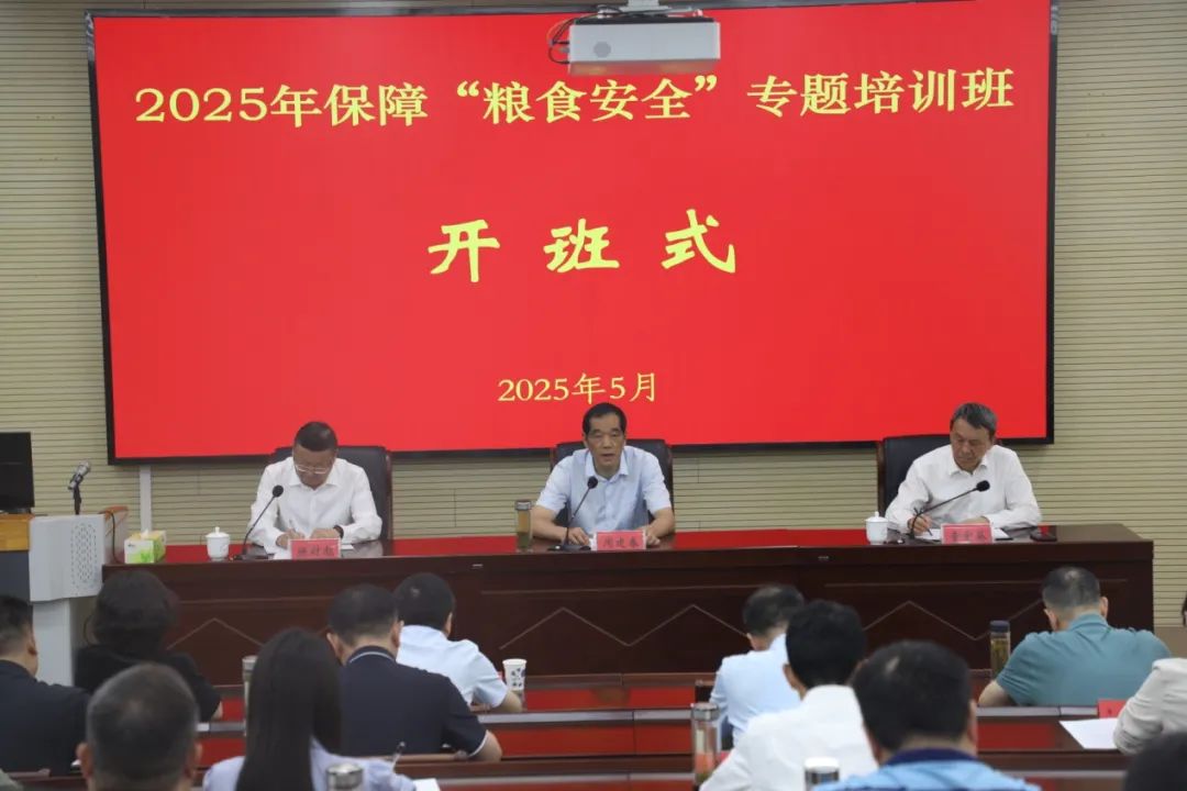 微信图片_20250531080049