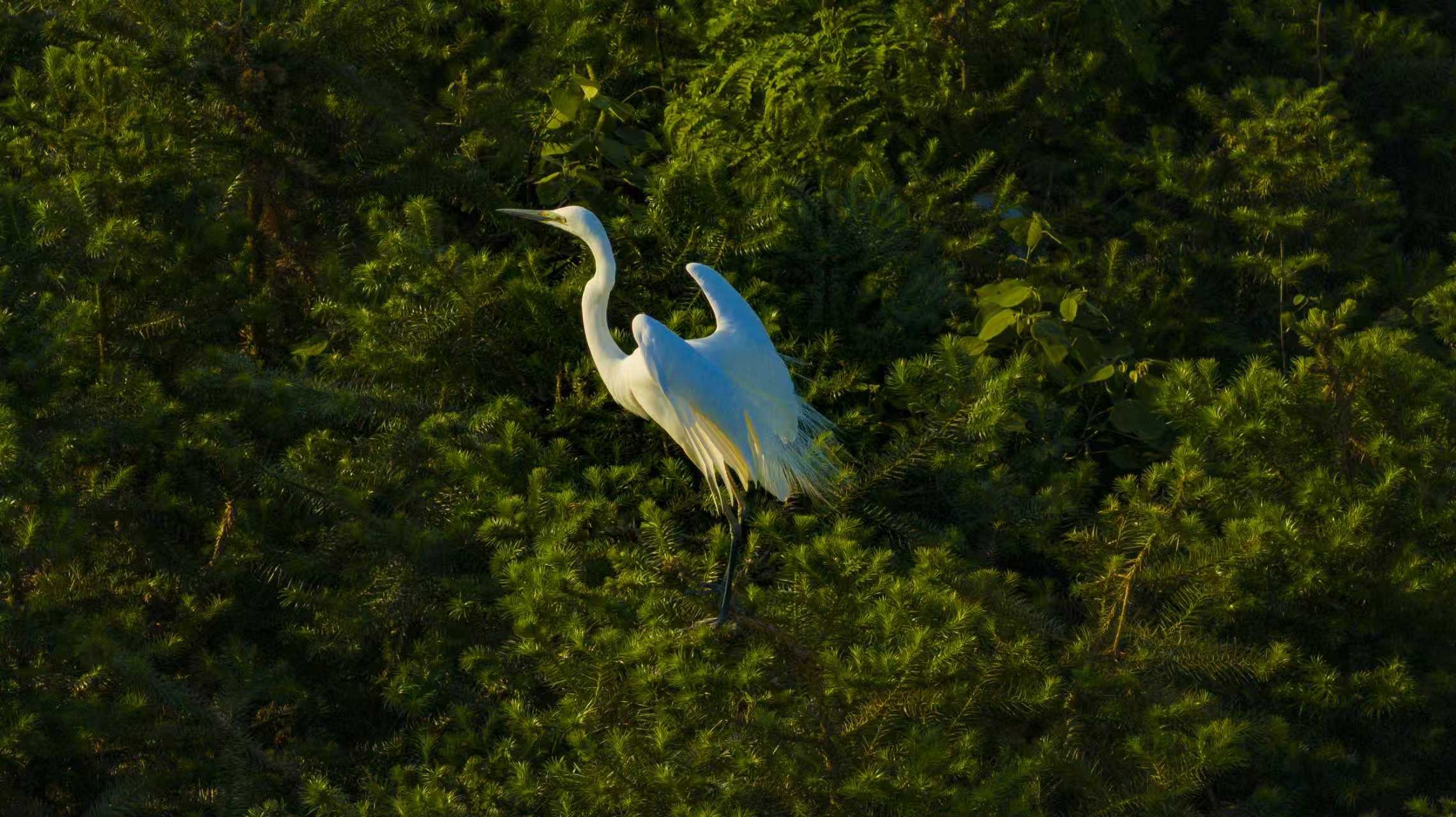 微信图片_20260109145436_35_262